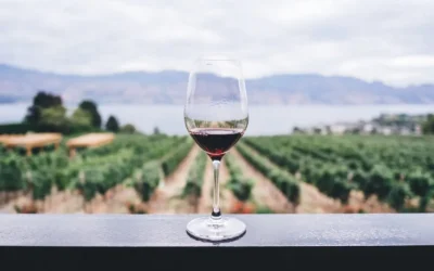 The Best Places To Go For Wine Tasting
