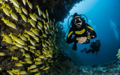 The Best International Scuba Diving Destinations